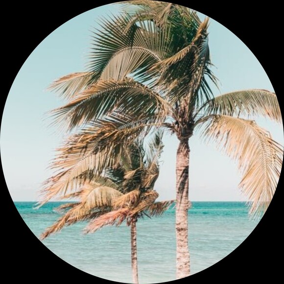 violetsand_co